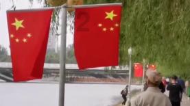 逗小猴开心系列171