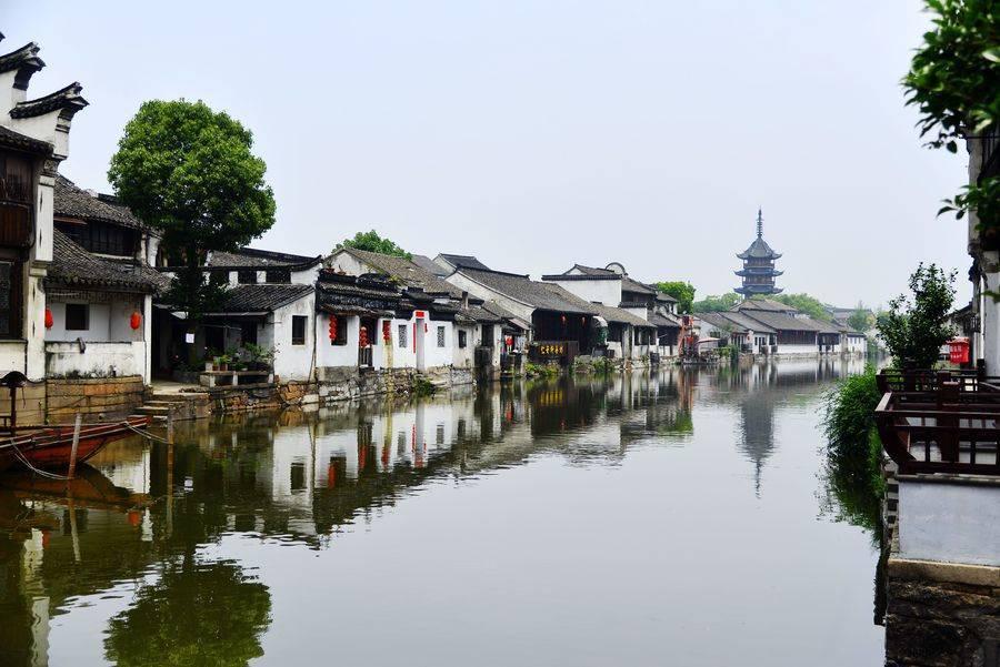 救援蓝色小鱼