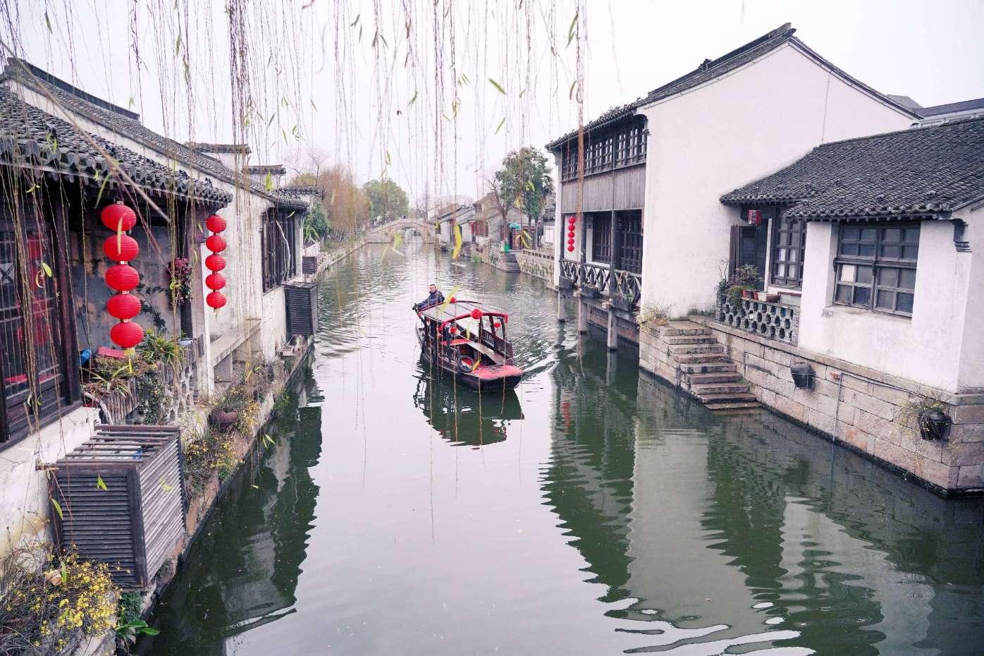逃离橡子树种植地