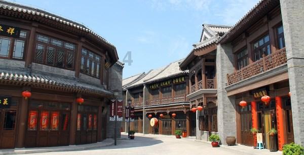 乌龟的龟甲腐烂了，要用手去抠掉他那个腐烂的地方吗？